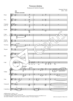 Preview: Nessun Dorma, Puccini, Kammerorchester
